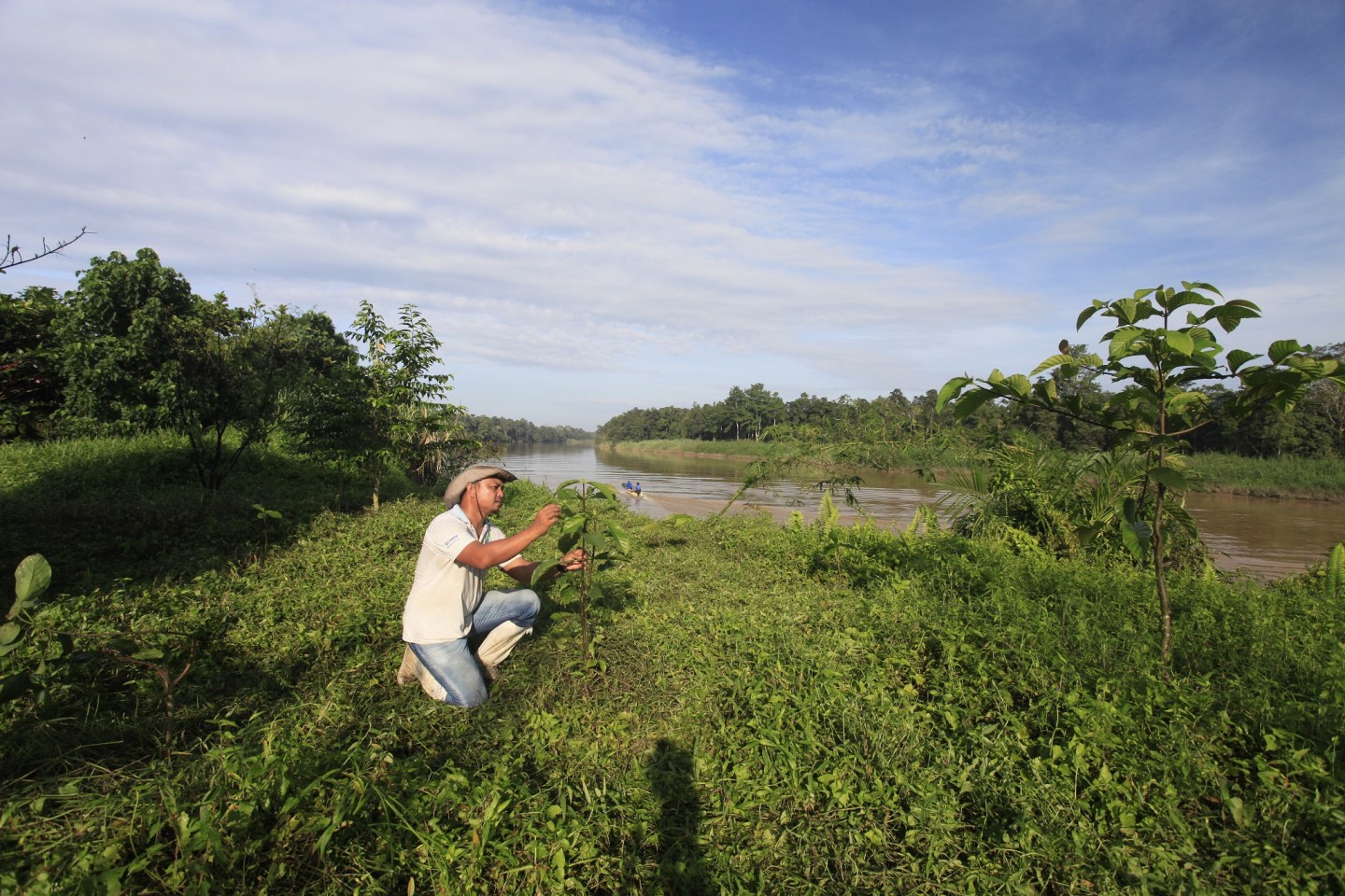 Nestle Tree planting