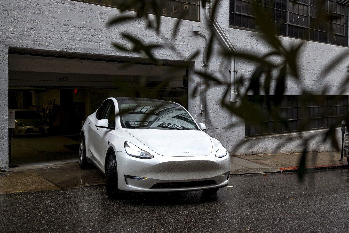 Future 50 Tesla Auto Industry