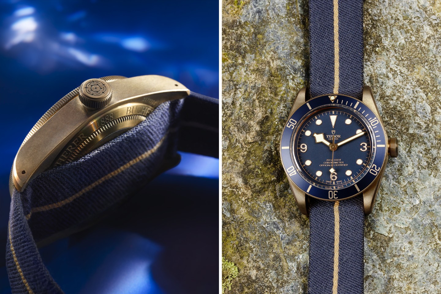 Tudor Bronze-Embed