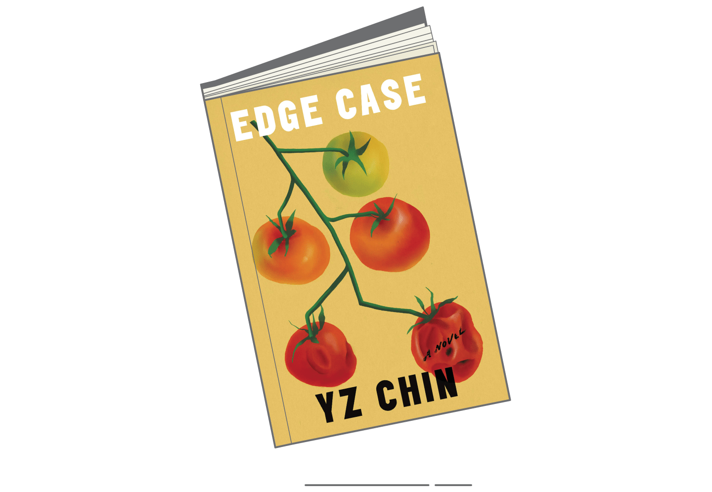 Summer 2021 Books-Edge Case