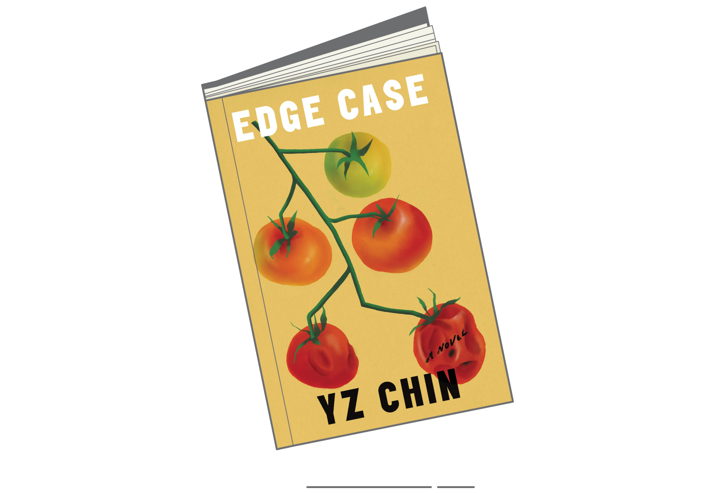 Summer 2021 Books-Edge Case