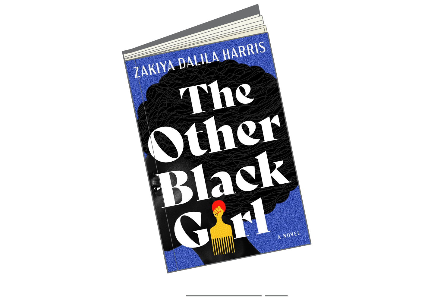 Summer 2021 Books-The Other Black Girl