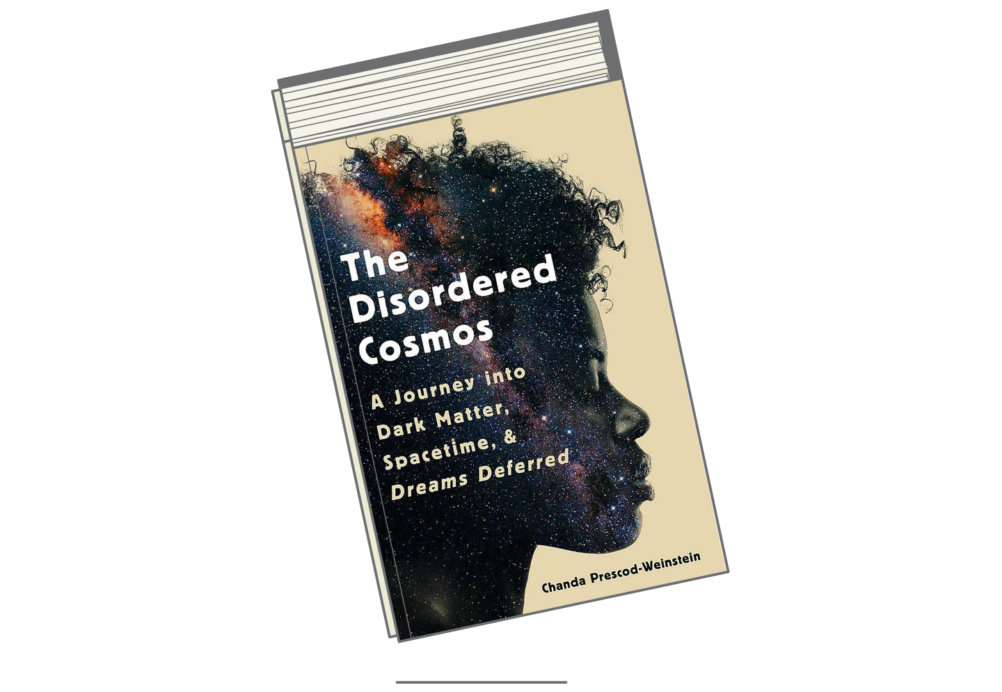 Best Books So Far 2021-Disordered Cosmos