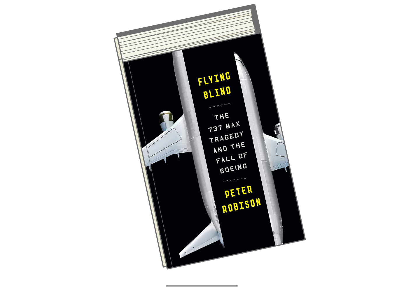 Book Roundup-Flying Blind
