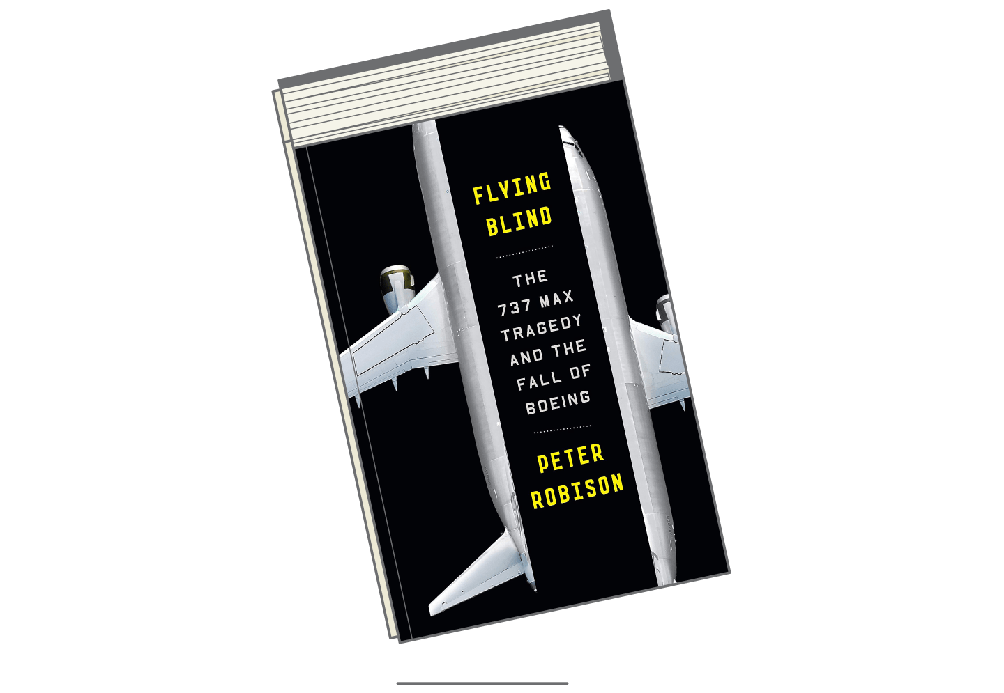 Book Roundup-Flying Blind