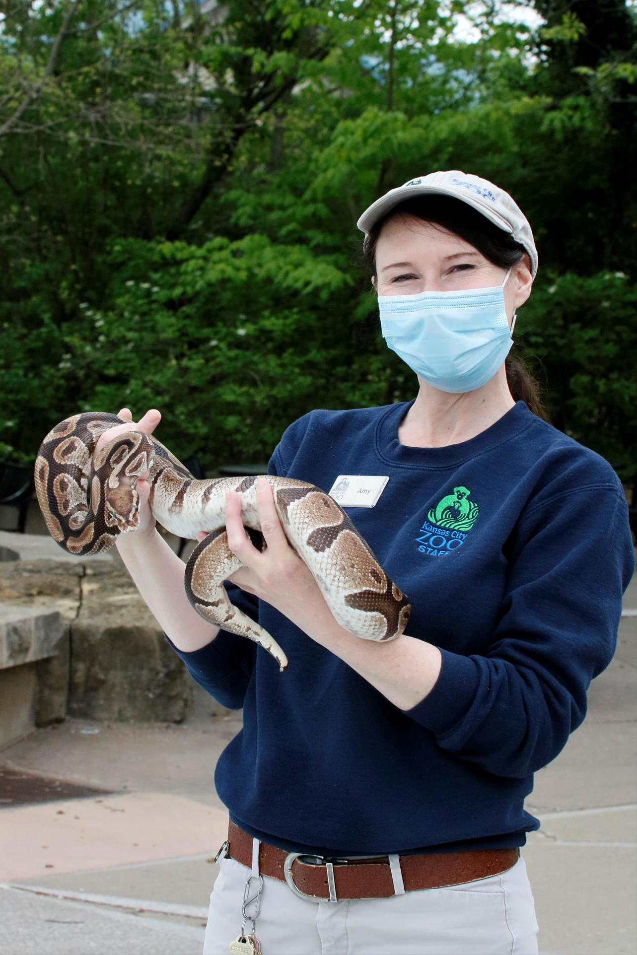 Vaccinations for animals are an “ongoing debate.”