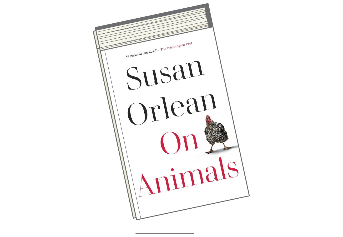 October-Books-2021-On-Animals