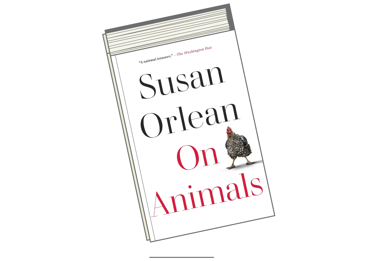 October-Books-2021-On-Animals