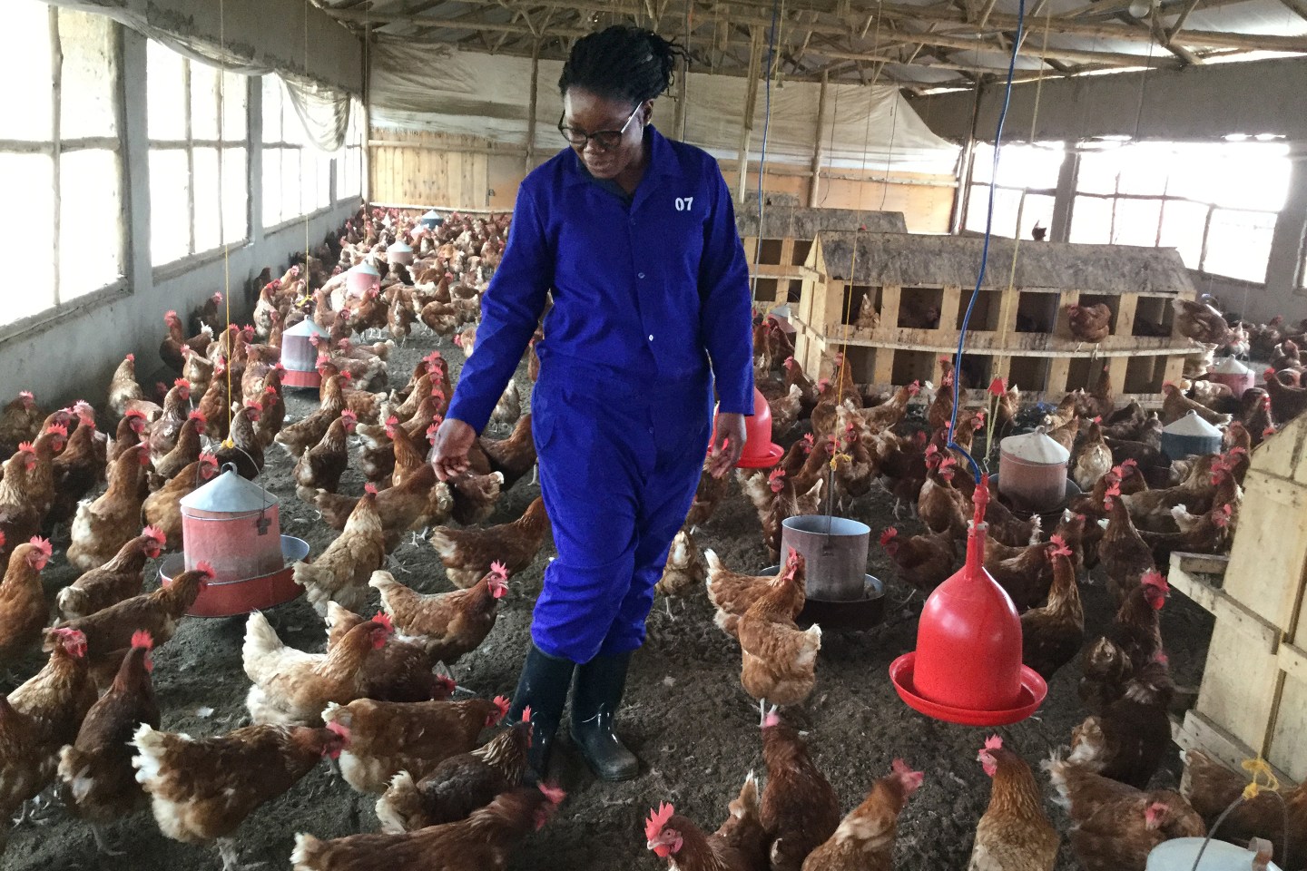 Elanco Animal Health Company Profile, News, Rankings Fortune