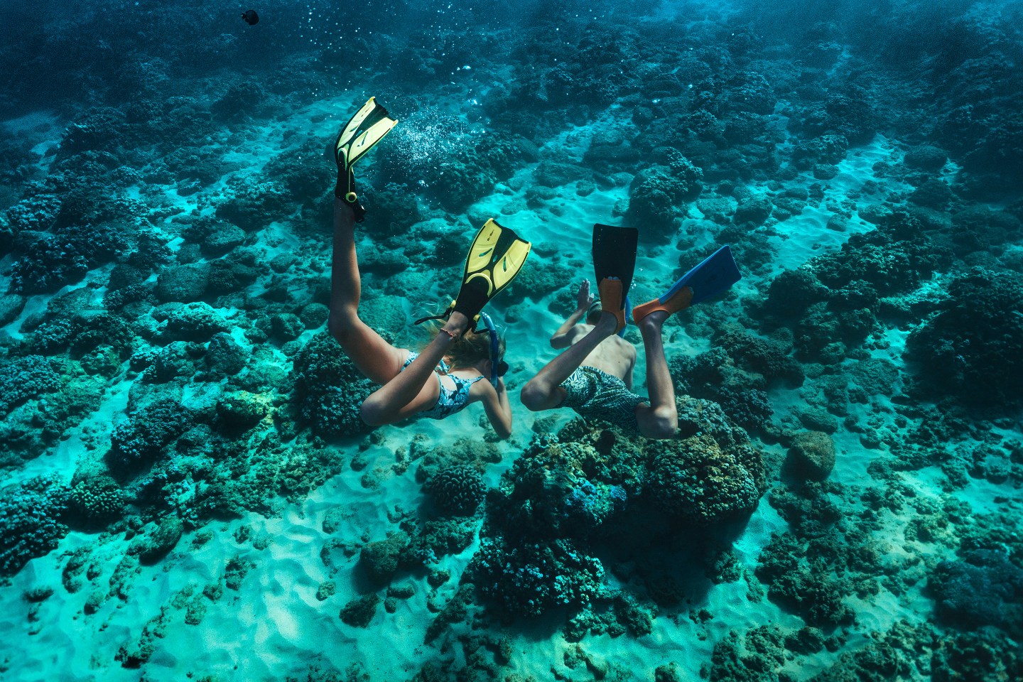 World-class snorkeling among the atoll’s recovering reefs.