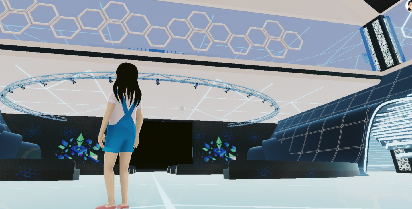 A screenshot of the metaverse.