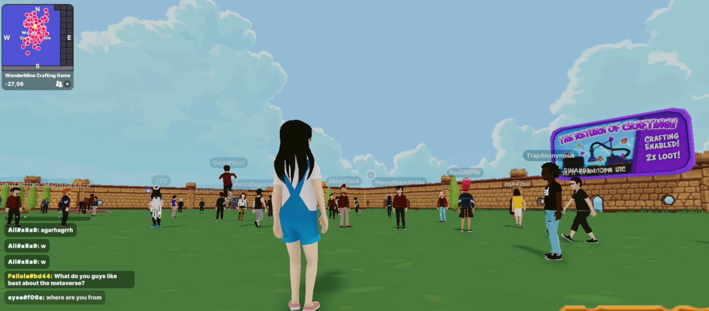 A screenshot of the metaverse.