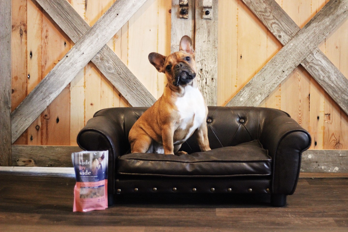 Frenchie dog posing with Side by Side Pet treats