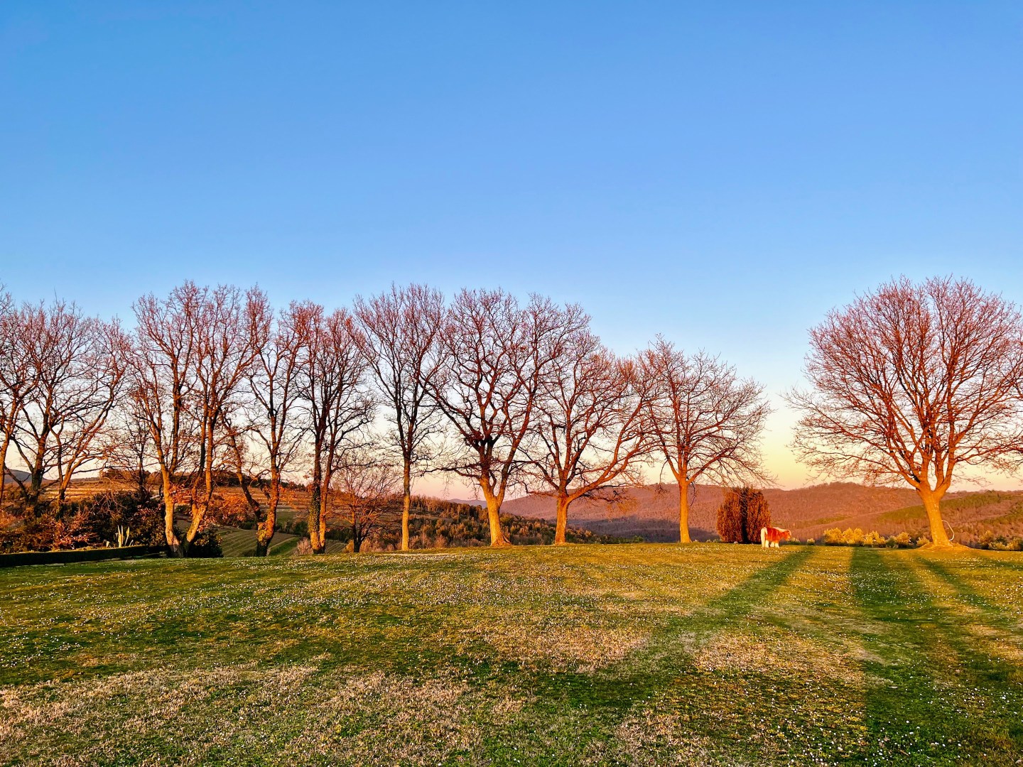 Tenuta Sette Cieli at sunset