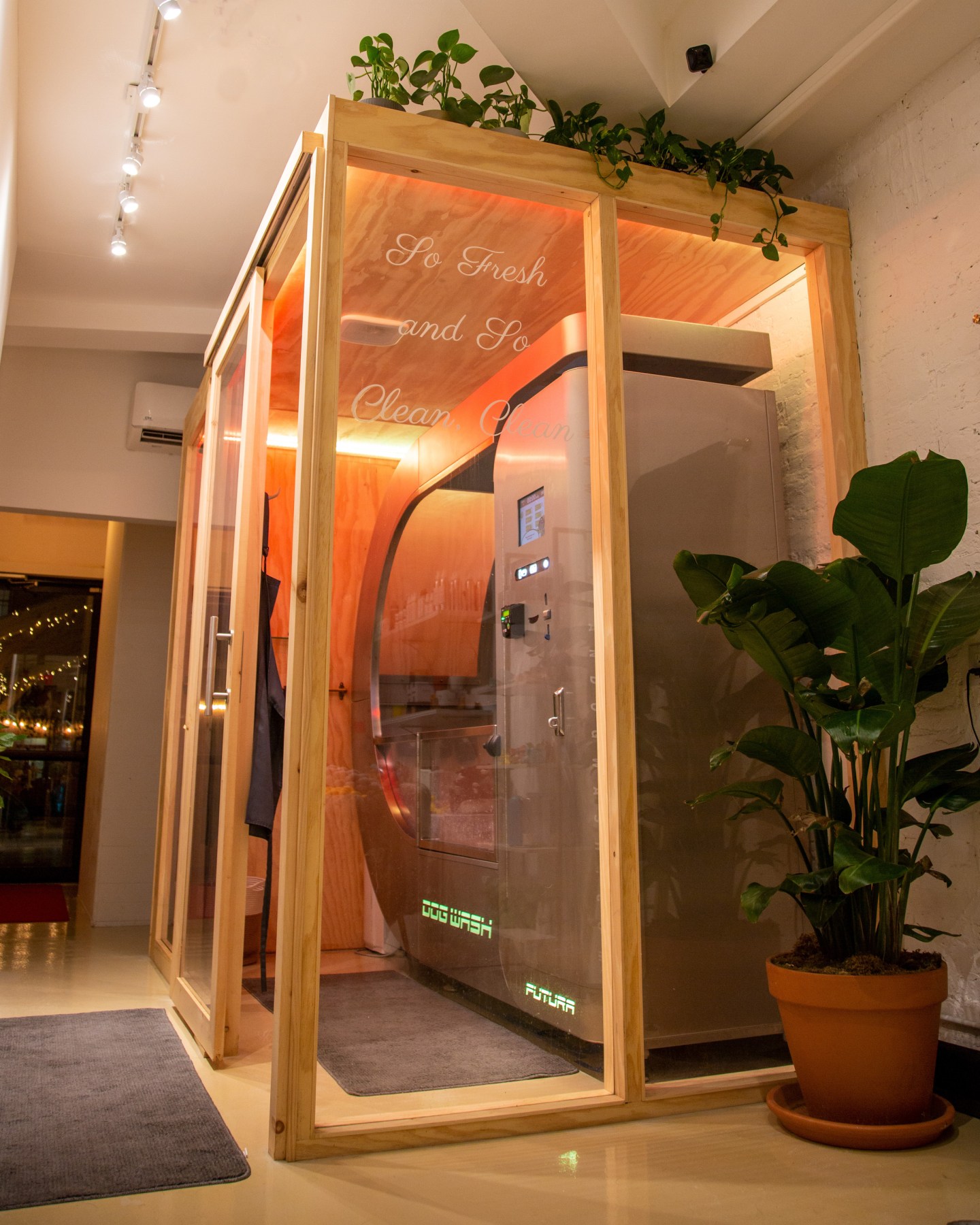 Now You're Clean wash and dry pod