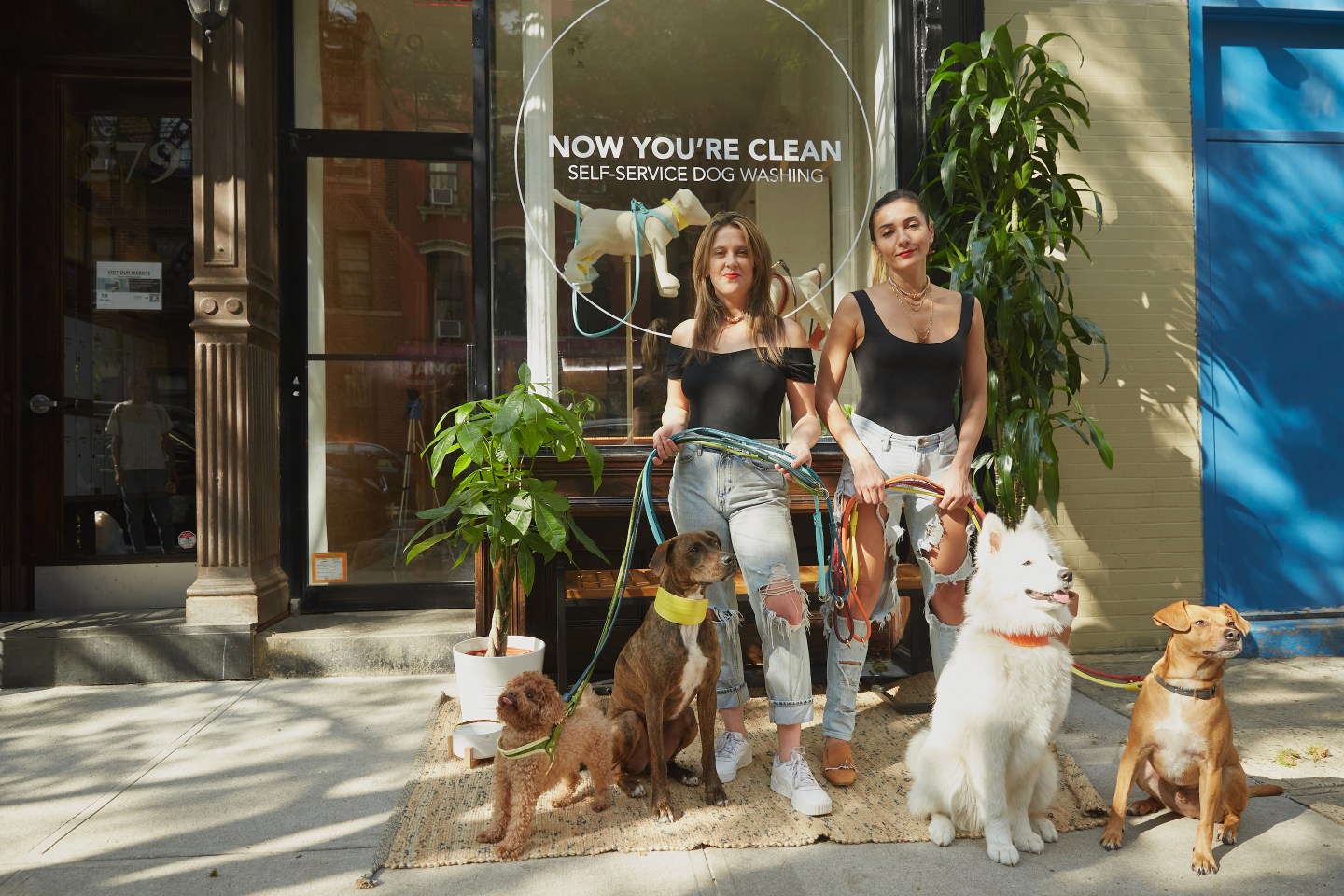 Now You're Clean dog wash and spa