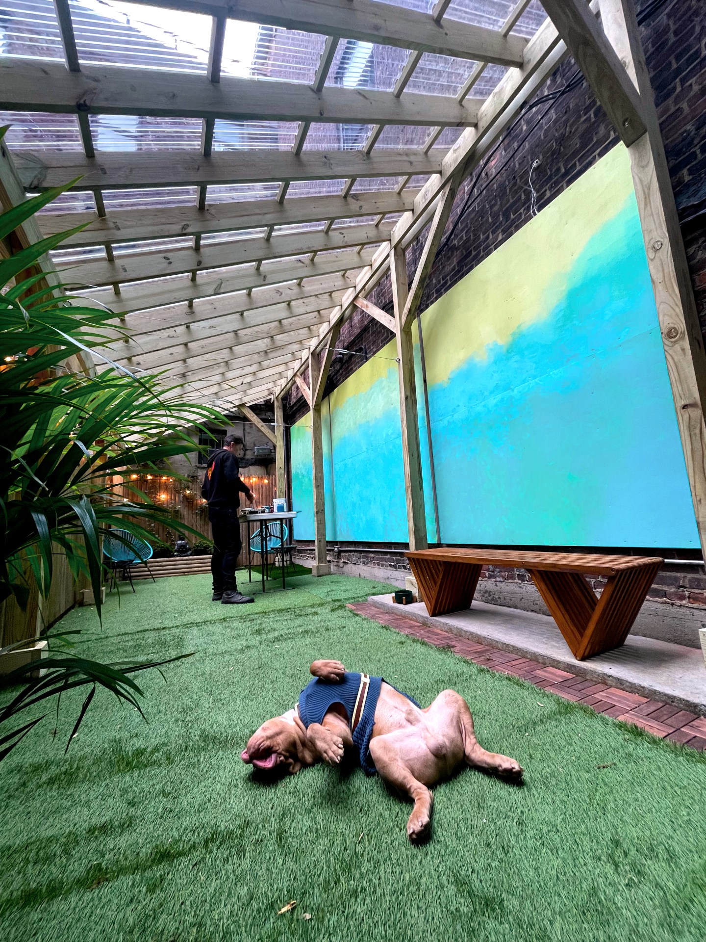 Now You're Clean Buddha Club backyard