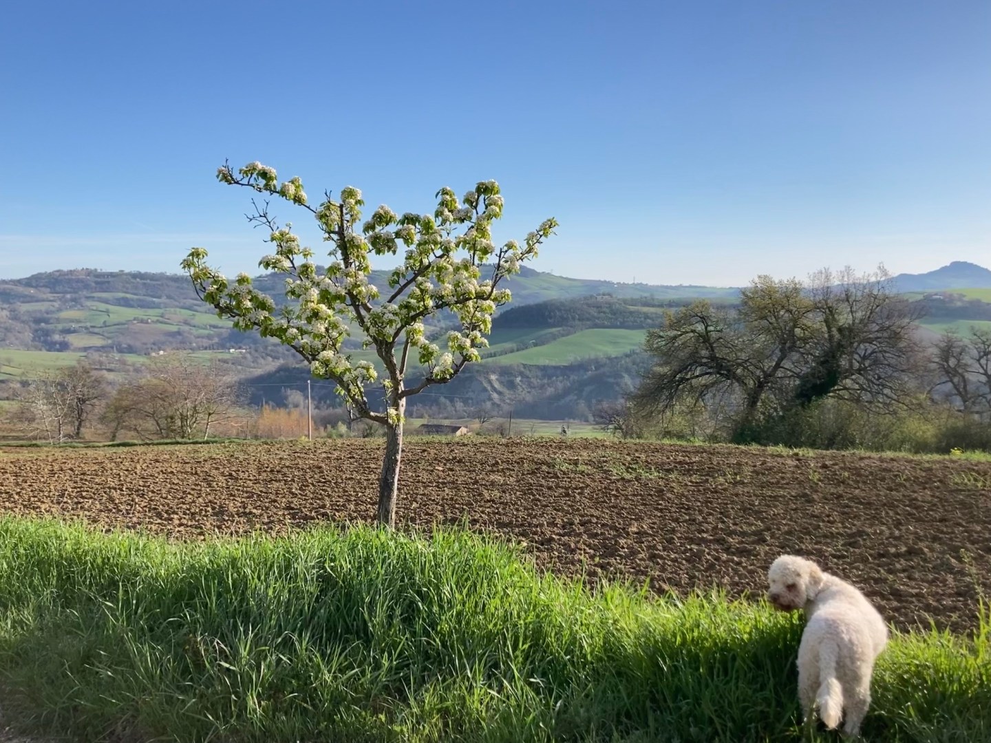 Amandola. April 2022.