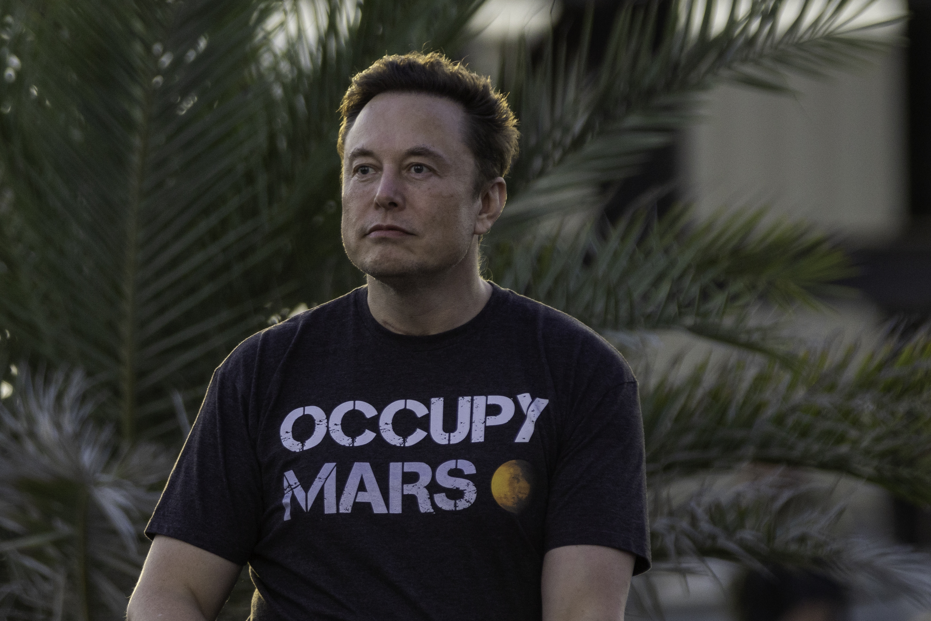 Elon Musk deploys staff of attorneys to clean damaging Tesla self-driving video from Web 1