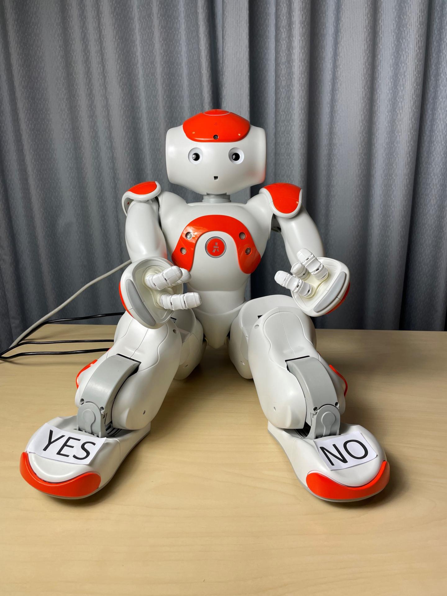 Robot Nao