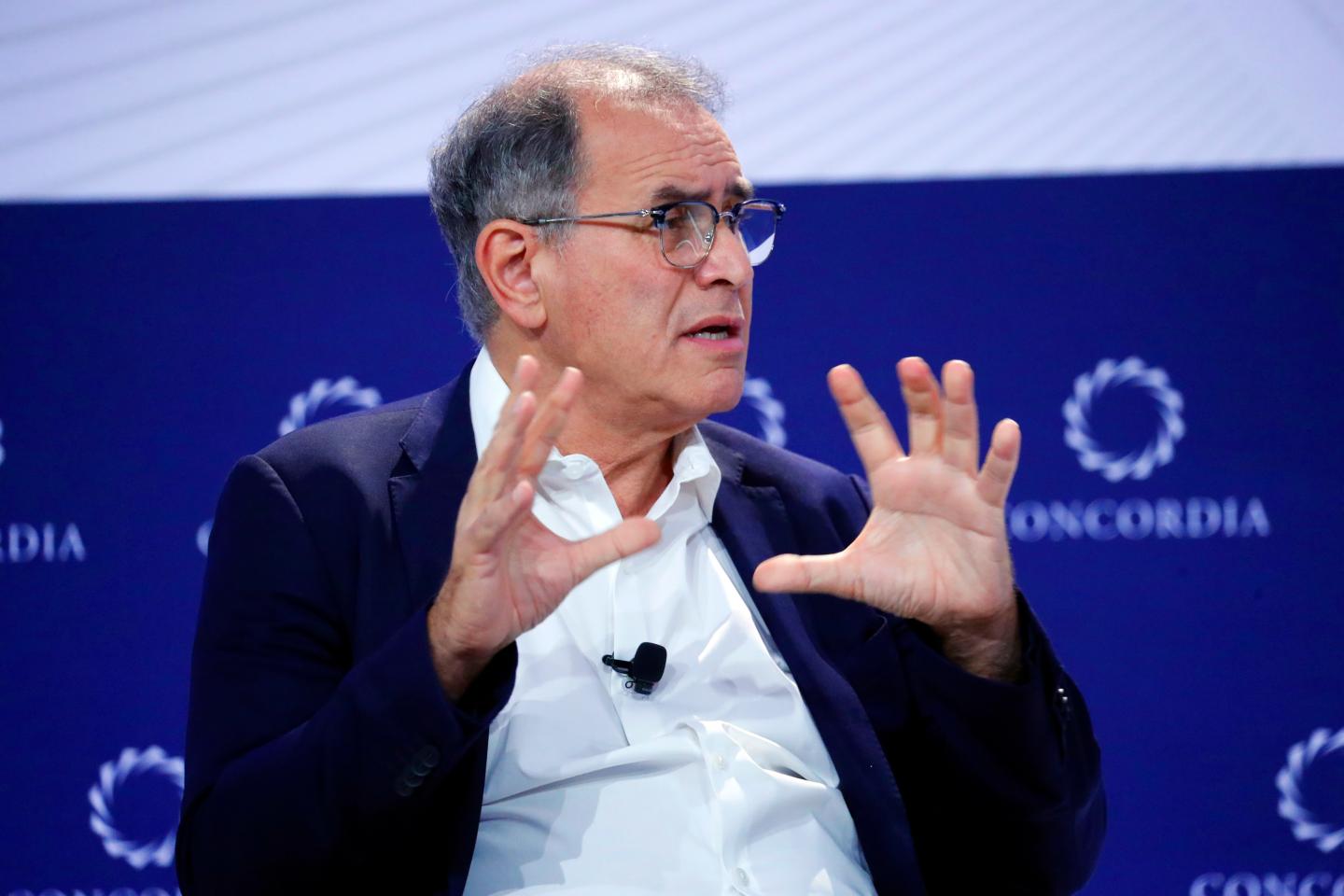 Professor Nouriel Roubini