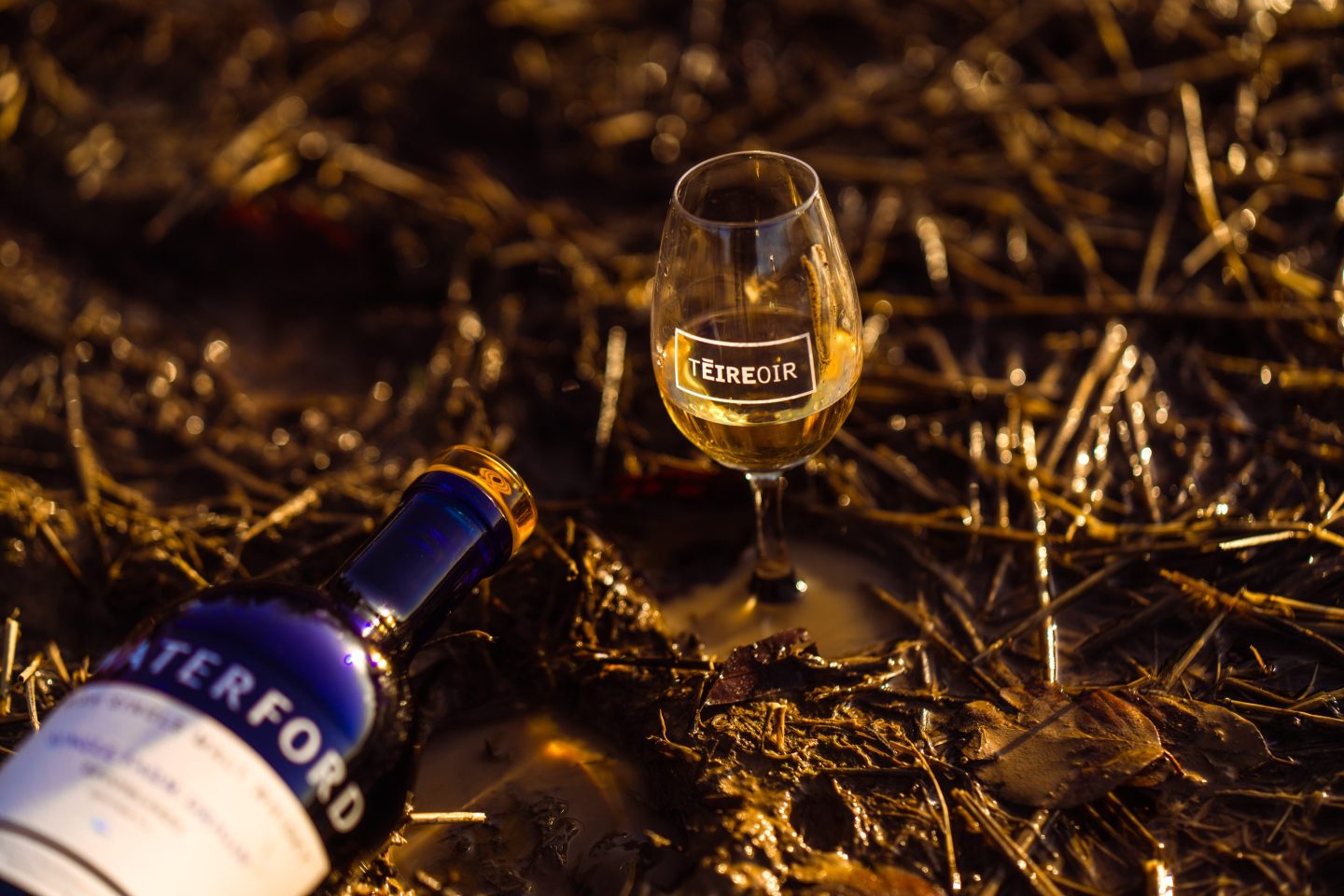 Glass of whisky in a field