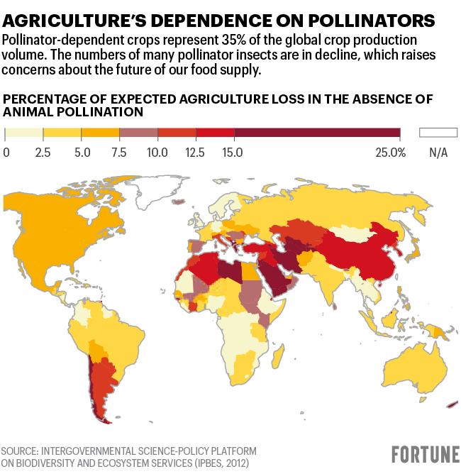 Map shows the percentage of expected agriculture loss in the absence of animal pollination