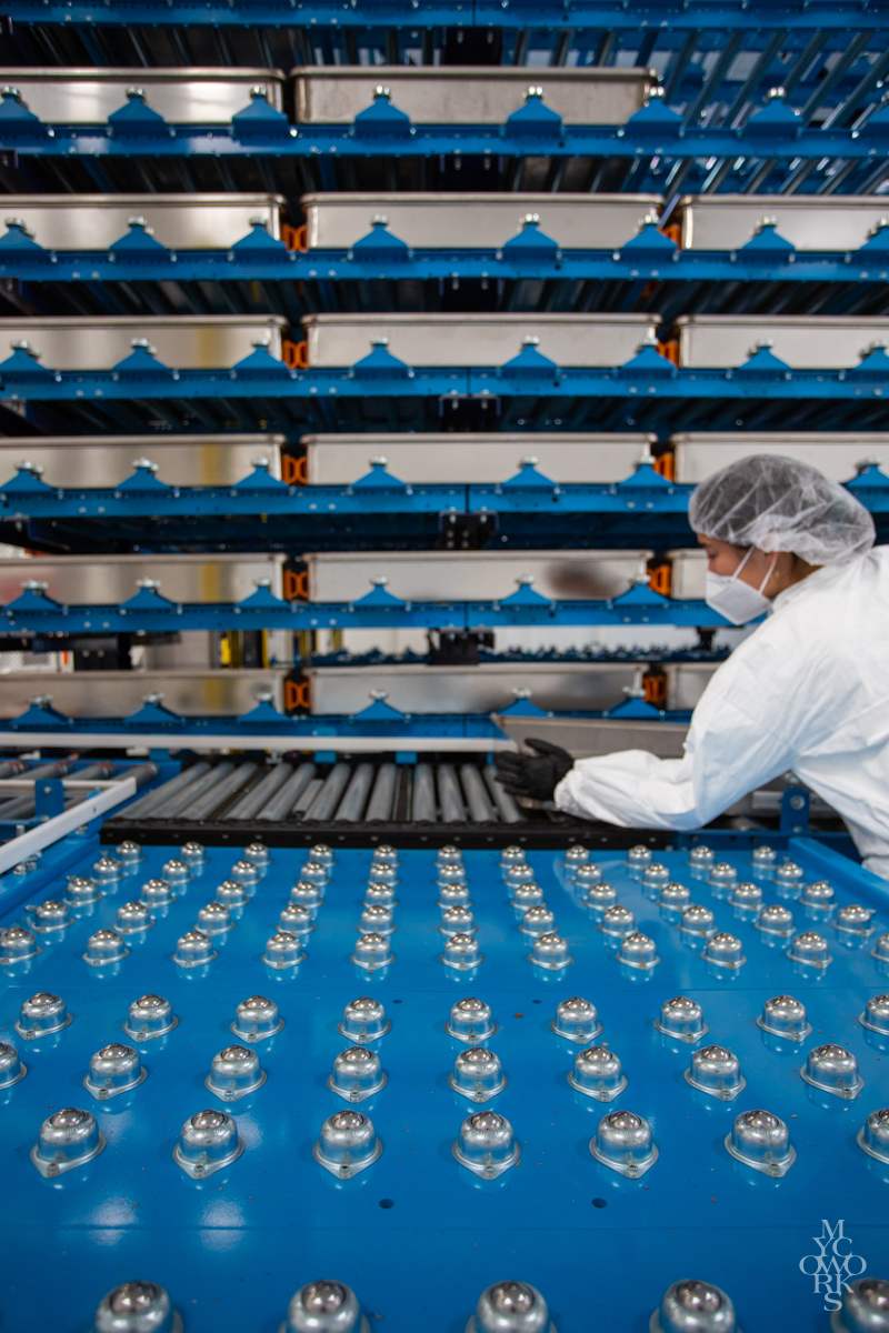 A worker at a MycoWorks facility