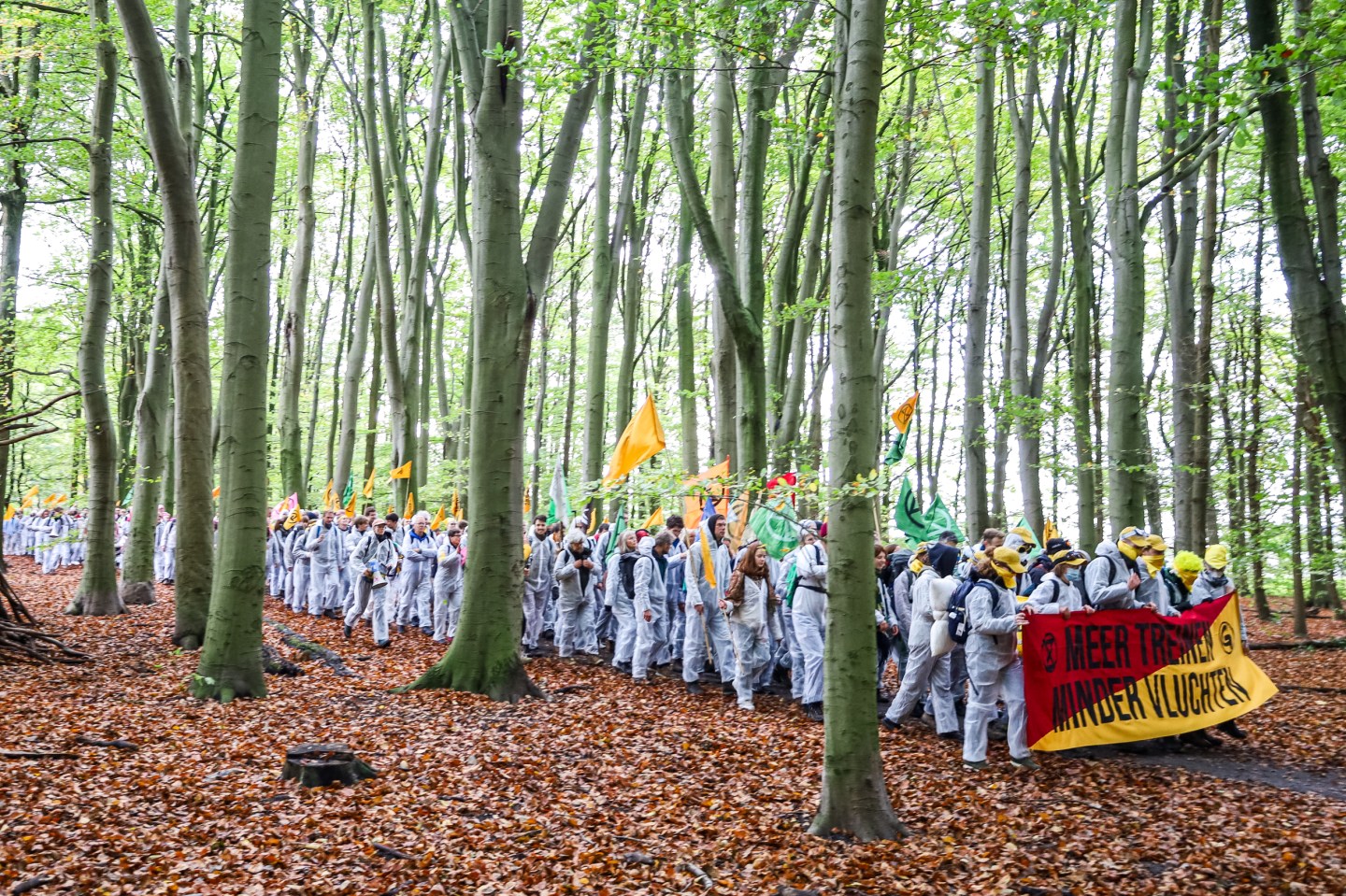 Climate activists march through a wooded area
