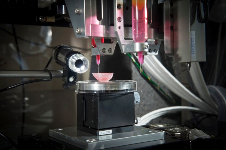 3D-printed organs may soon be a reality | Fortune Well