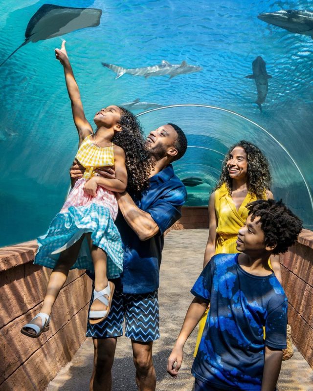 Family enjoying underwater views at Atlantis in the Bahamas.