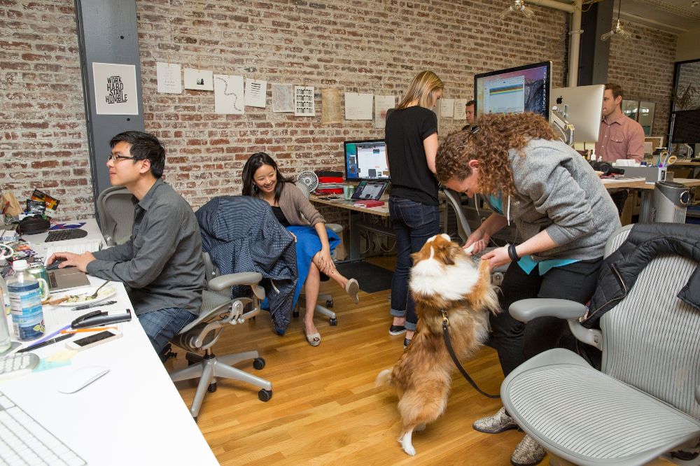 OPENDOOR TECHNOLOGIES INC OPEN visual data 6