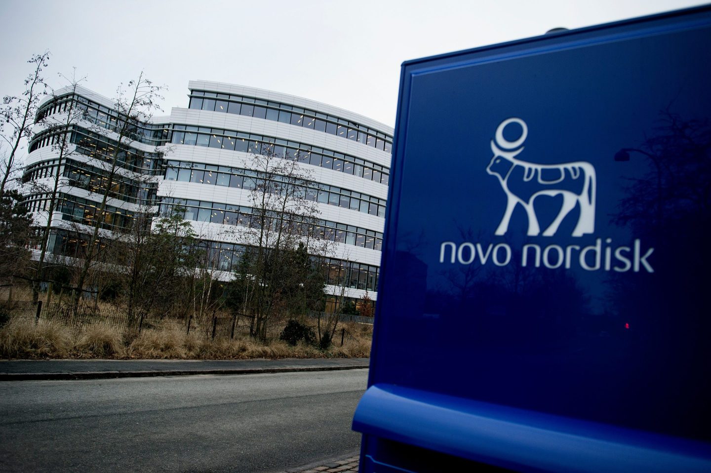 The logo of Danish pharmaceutical company Novo Nordisk is pictured at their headquarters in Bagsvaerd outside of Copenhagen, Denmark on February 1, 2017