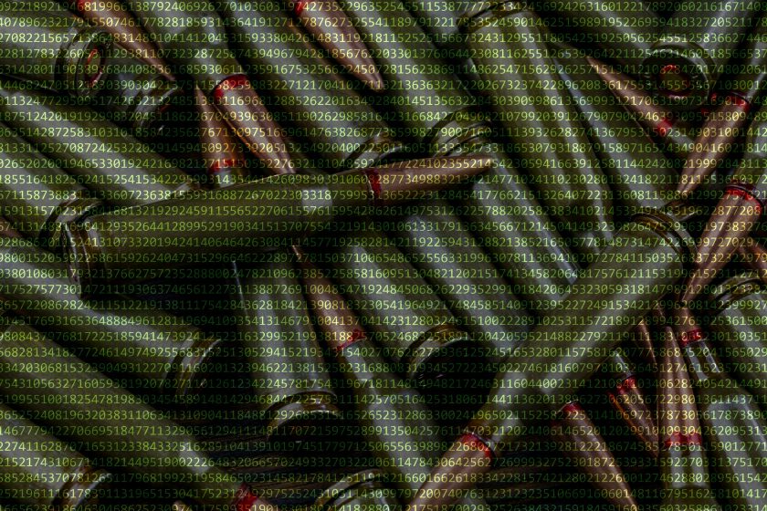 Rifle cartridges with digital-code overlay