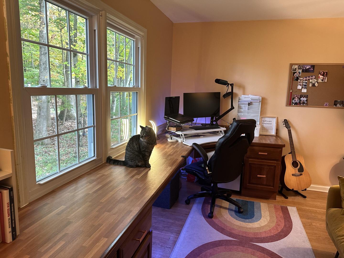 A spacious home office with large windows and a cat sitting on the desk