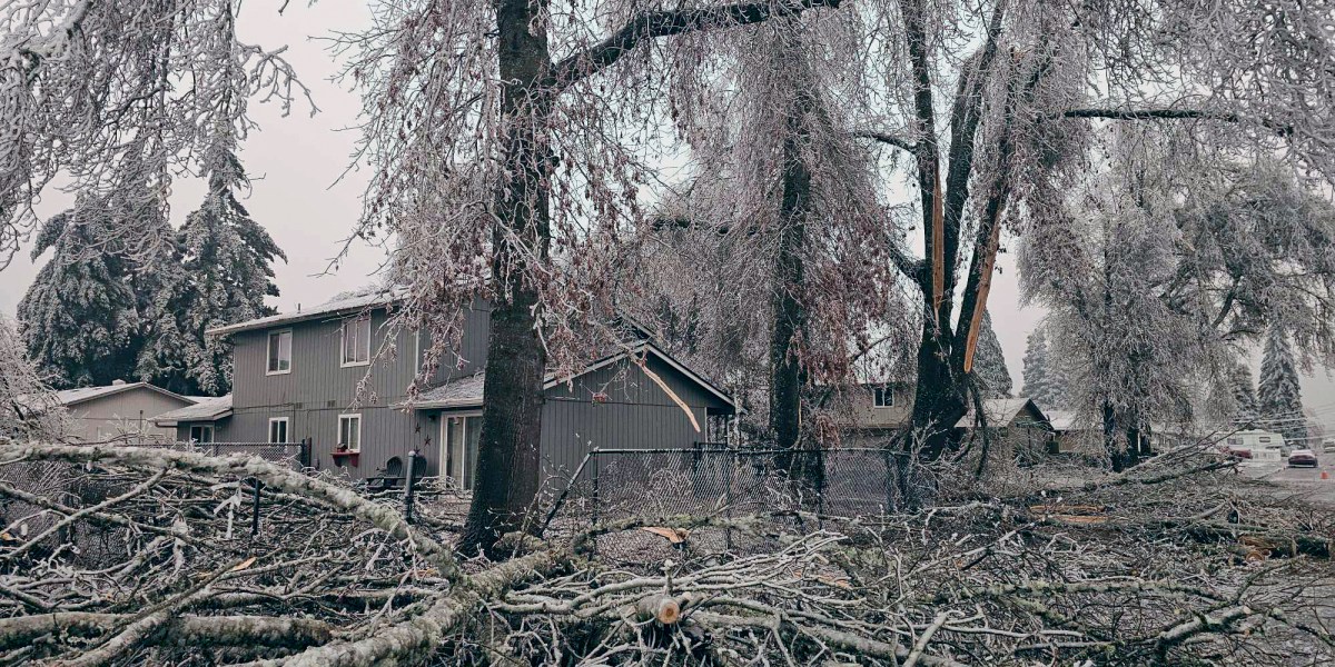 Deadly January storms have turned U.S. roads into icy death traps, frozen people to death from Oregon to Tennessee - Vimarsana News