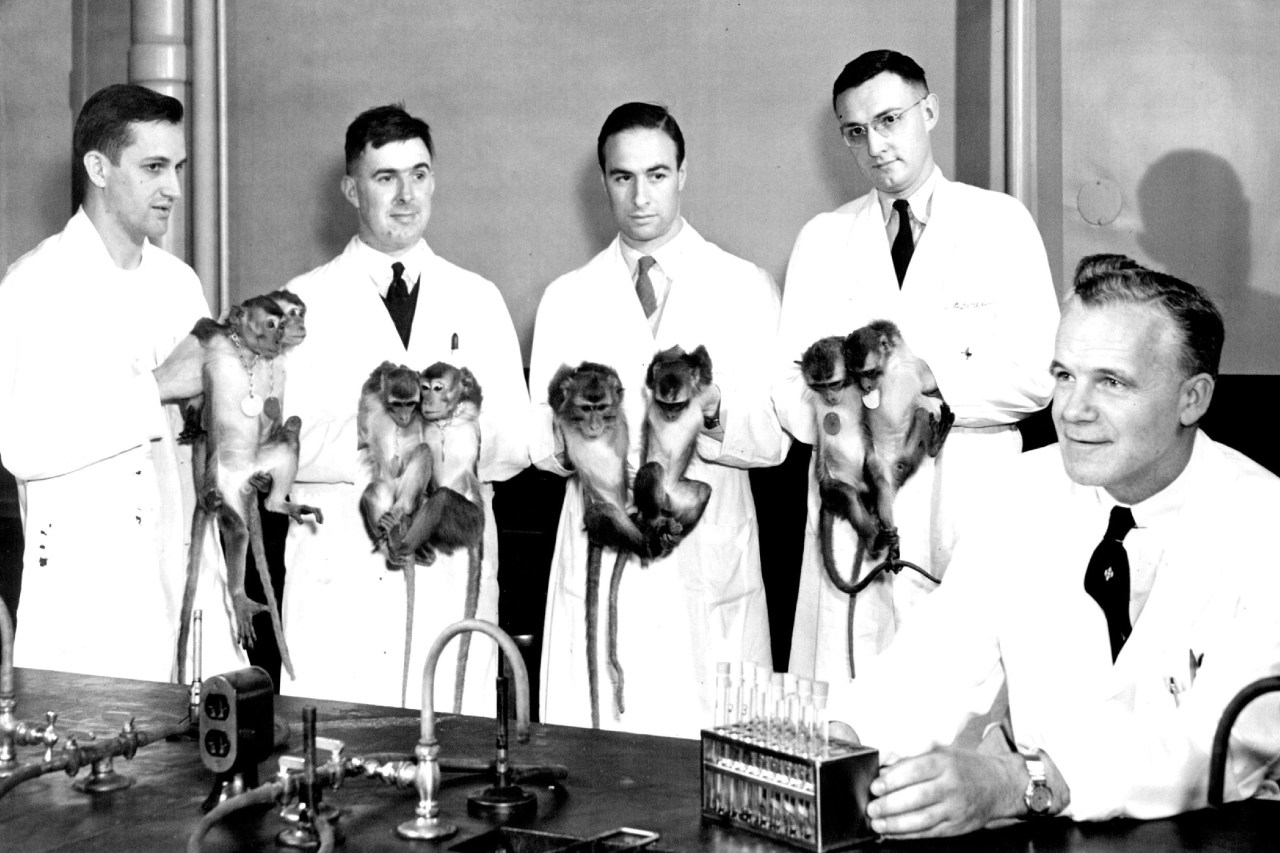 Why Big Pharma can’t quit the lab monkey business | Fortune