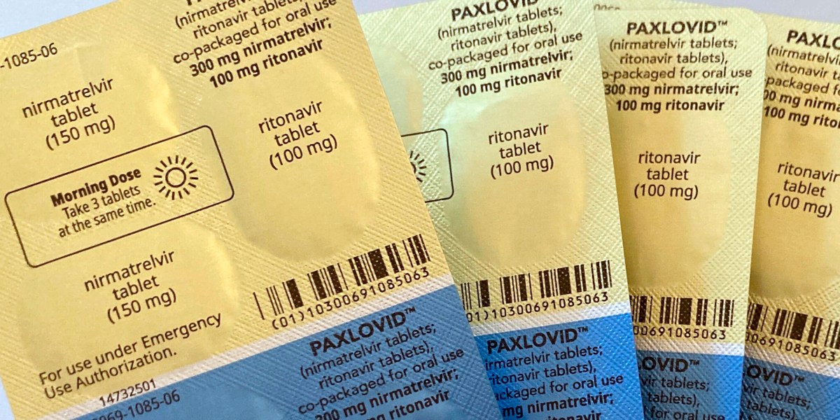 COVID antiviral Paxlovid could have saved more than 16,000 lives, had it been properly prescribed, new Harvard study finds